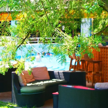 Flamingo Sunny Hotel