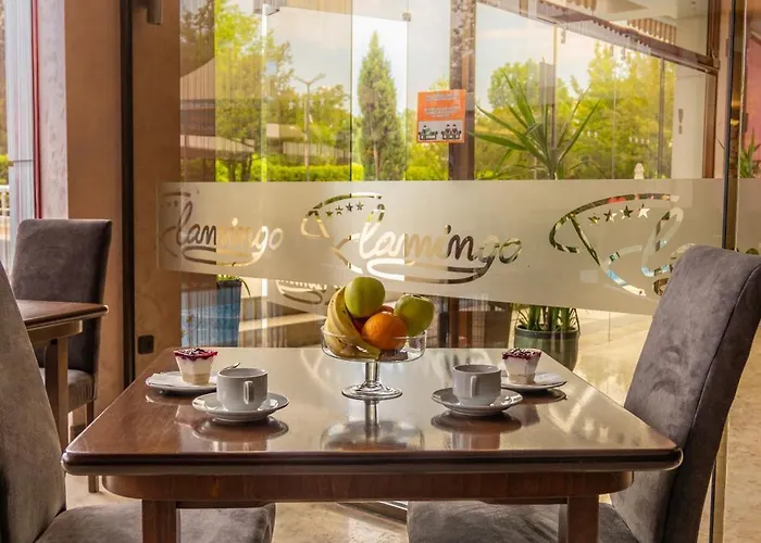 Flamingo Sunny ホテル サニービーチ