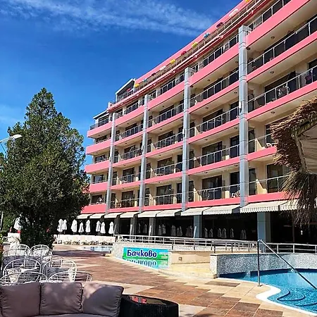 Flamingo Sunny 阳光海滩